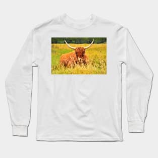 Highlander Cow in the tall grass Long Sleeve T-Shirt